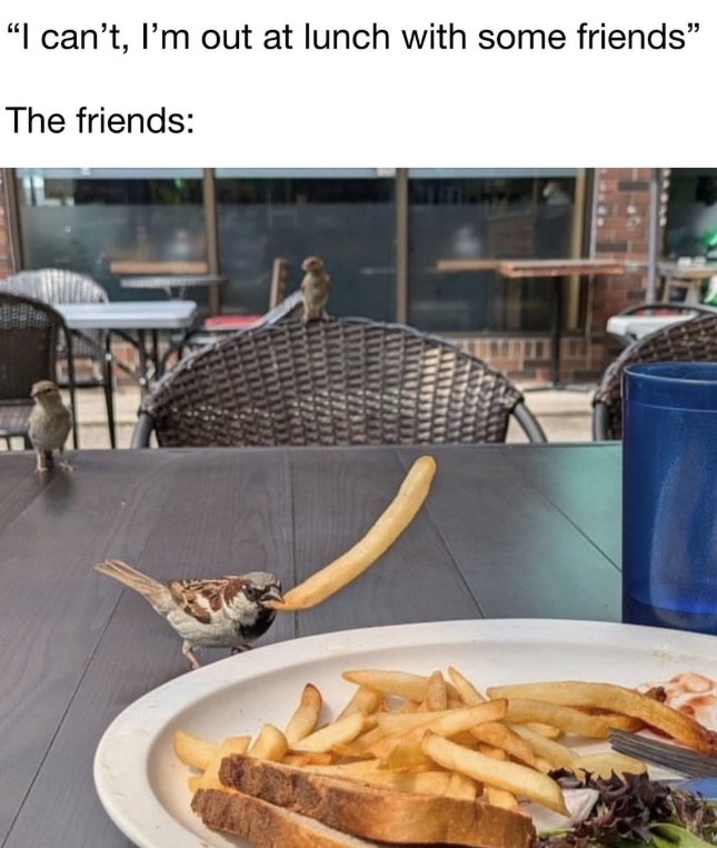 "I can't, I'm out at lunch with some friends" The friends: