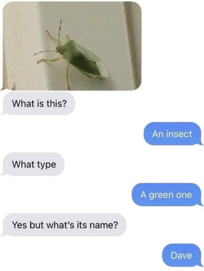 What is this? What type An insect Yes but what's its name? A green one Dave