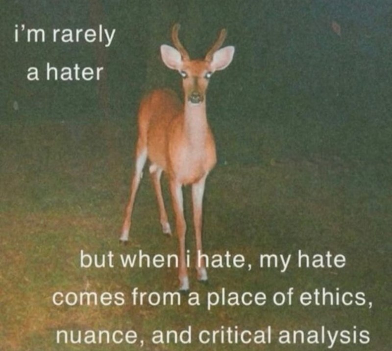 i'm rarely a hater but when i hate, my hate comes from a place of ethics, nuance, and critical analysis