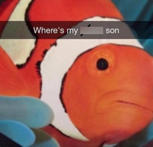 Where's my son