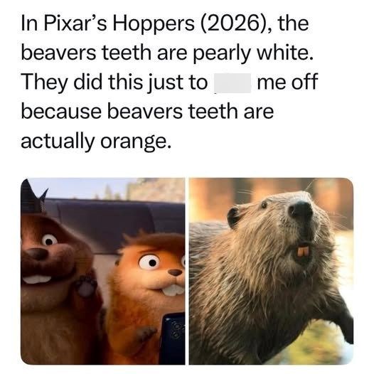 In Pixar's Hoppers (2026), the beavers teeth are pearly white. They did this just to me off because beavers teeth are actually orange.
