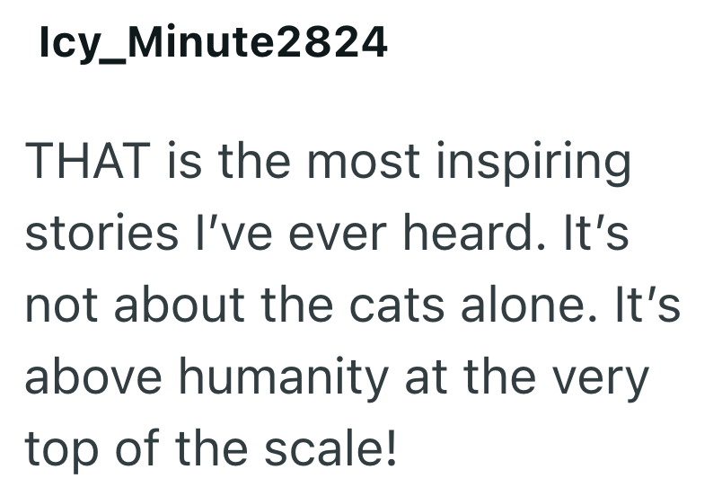 Icy_Minute2824 THAT is the most inspiring stories I've ever heard. It's not about the cats alone. It's above humanity at the very top of the scale!