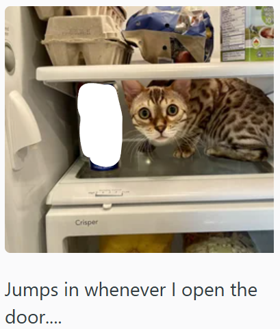 Crisper Jumps in whenever I open the door....
