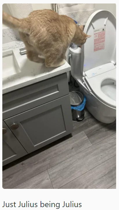 Just Julius being Julius