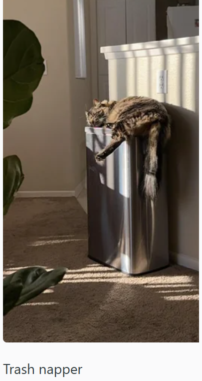 Trash napper