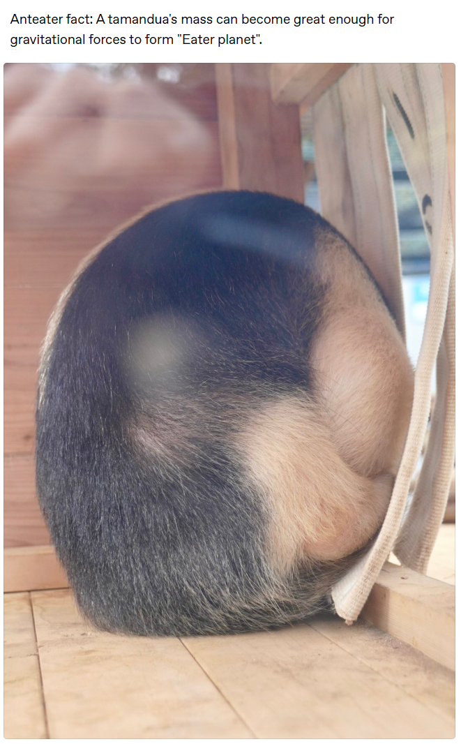 Anteater fact: A tamandua's mass can become great enough for gravitational forces to form "Eater planet".