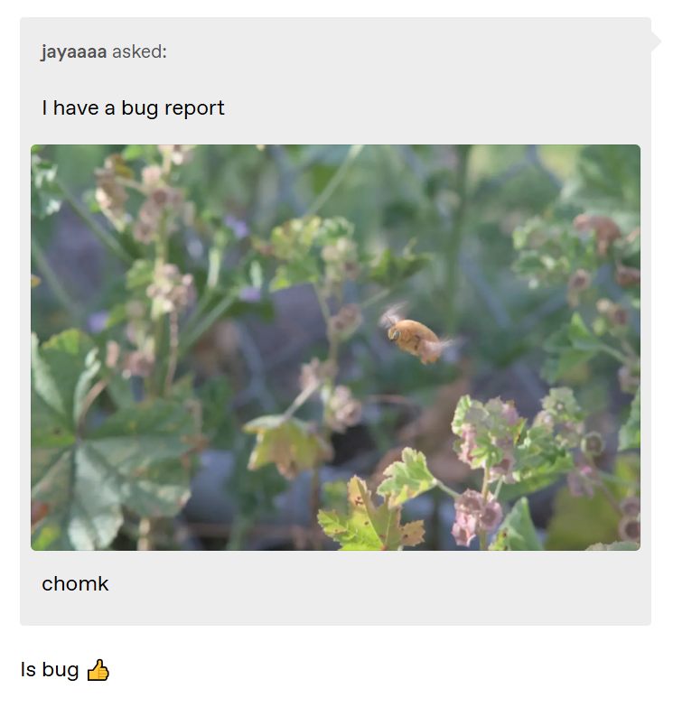 jayaaaa asked: I have a bug report chomk Is bug
