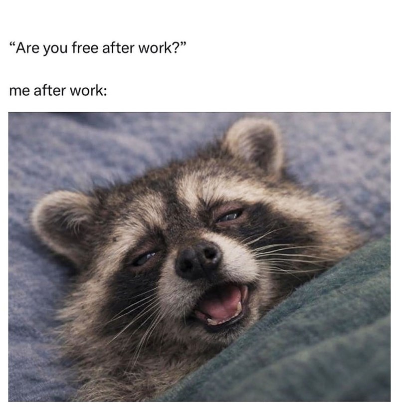"Are you free after work?" me after work: