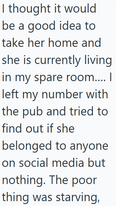 I thought it would be a good idea to take her home and she is currently living in my spare room.... | left my number with the pub and tried to find out if she belonged to anyone on social media but nothing. The poor thing was starving,