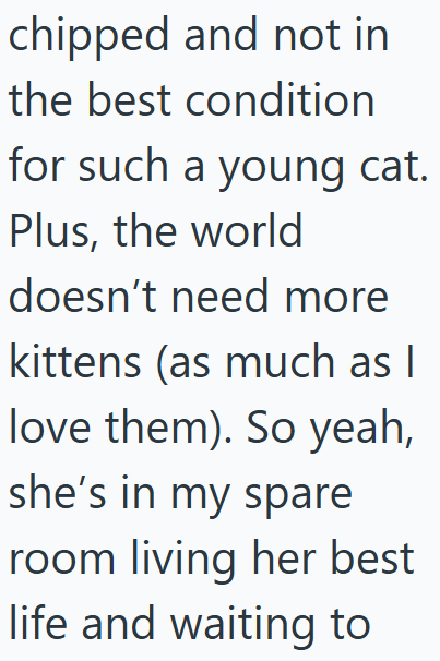 chipped and not in the best condition for such a young cat. Plus, the world doesn't need more kittens (as much as I love them). So yeah, she's in my spare room living her best life and waiting to