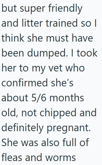 but super friendly and litter trained so I think she must have been dumped. I took her to my vet who confirmed she's about 5/6 months old, not chipped and definitely pregnant. She was also full of fleas and worms