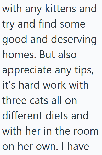 with any kittens and try and find some good and deserving homes. But also appreciate any tips, it's hard work with three cats all on different diets and with her in the room on her own. I have