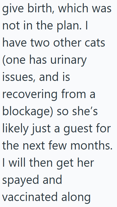 give birth, which was not in the plan. I have two other cats (one has urinary issues, and is recovering from a blockage) so she's likely just a guest for the next few months. I will then get her spayed and vaccinated along