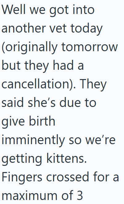 Well we got into another vet today (originally tomorrow but they had a cancellation). They said she's due to give birth imminently so we're getting kittens. Fingers crossed for a maximum of 3