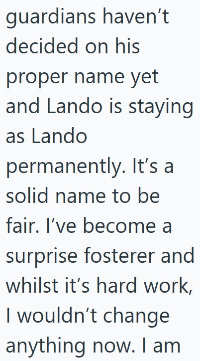 guardians haven't decided on his proper name yet and Lando is staying as Lando permanently. It's a solid name to be fair. I've become a surprise fosterer and whilst it's hard work, I wouldn't change anything now. I am