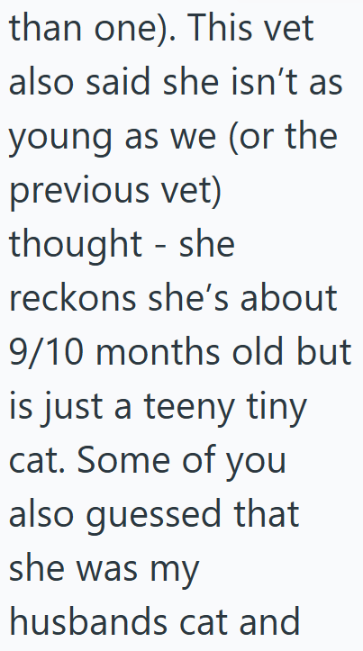 than one). This vet also said she isn't as young as we (or the previous vet) thought - she reckons she's about 9/10 months old but is just a teeny tiny cat. Some of you also guessed that she was my husbands cat and