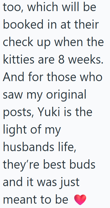 too, which will be booked in at their check up when the kitties are 8 weeks. And for those who saw my original posts, Yuki is the light of my husbands life, they're best buds and it was just meant to be