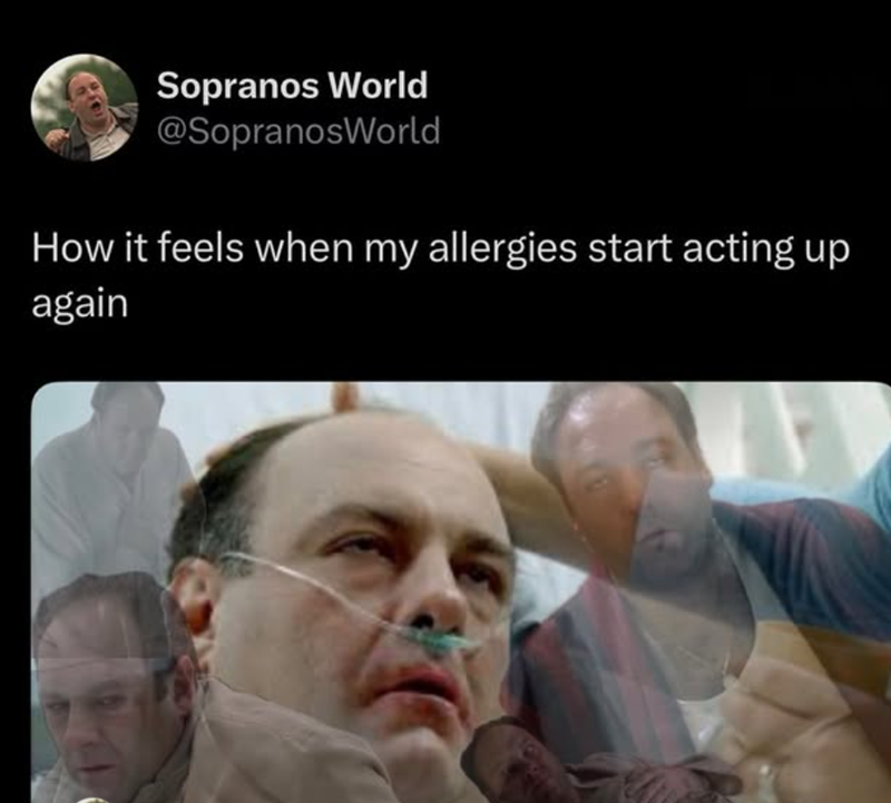 Sopranos World @SopranosWorld How it feels when my allergies start acting up again