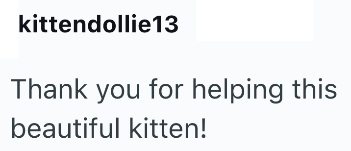 kittendollie13 Thank you for helping this beautiful kitten!