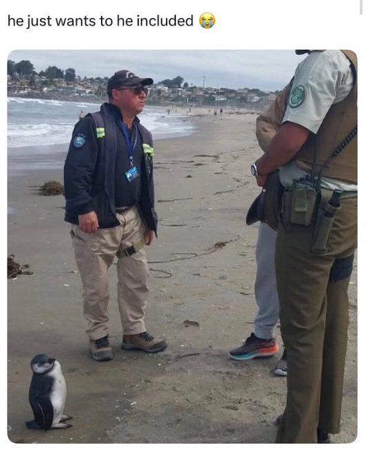 he just wants to he included LEEFFFEE