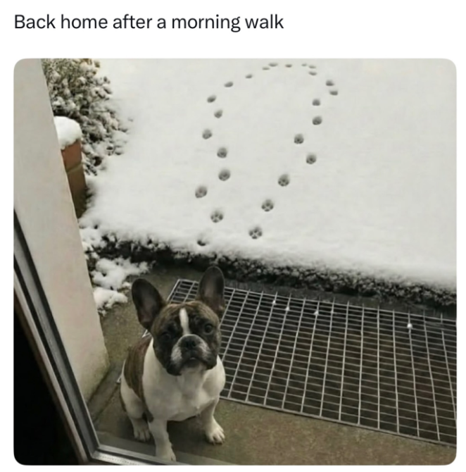 Back home after a morning walk