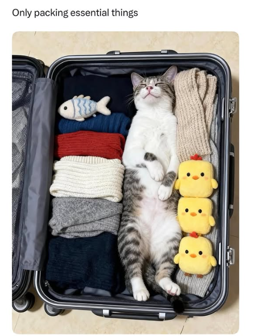 Only packing essential things