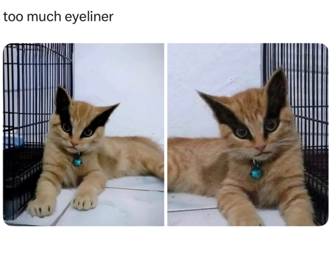 too much eyeliner
