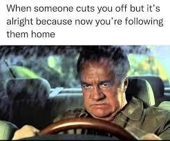 When someone cuts you off but it's alright because now you're following them home