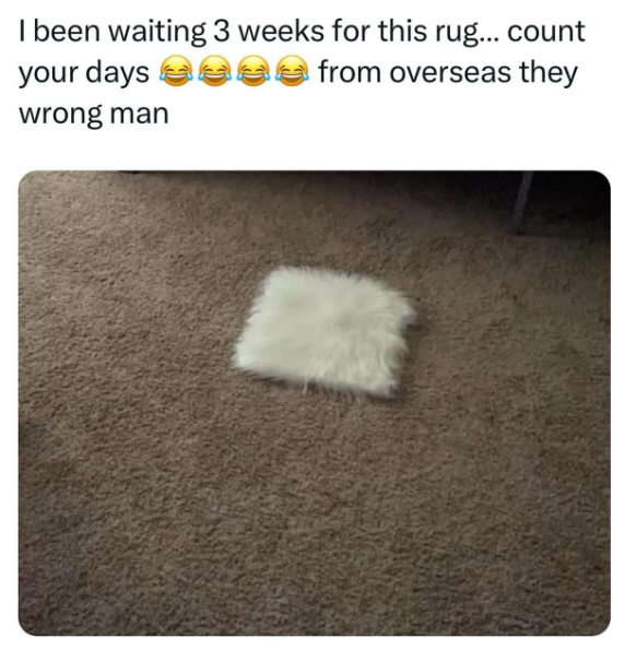 I been waiting 3 weeks for this rug... count your days 300 from overseas they wrong man