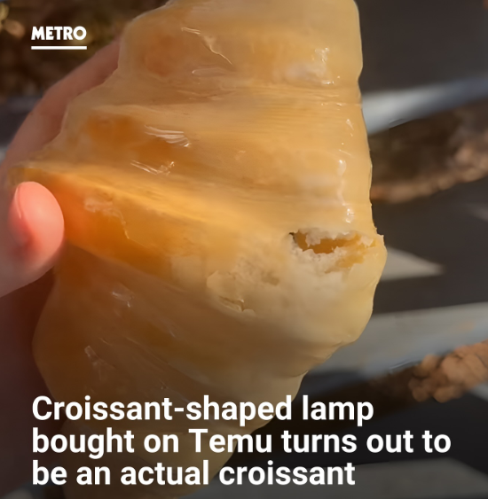 METRO Croissant-shaped lamp bought on Temu turns out to be an actual croissant