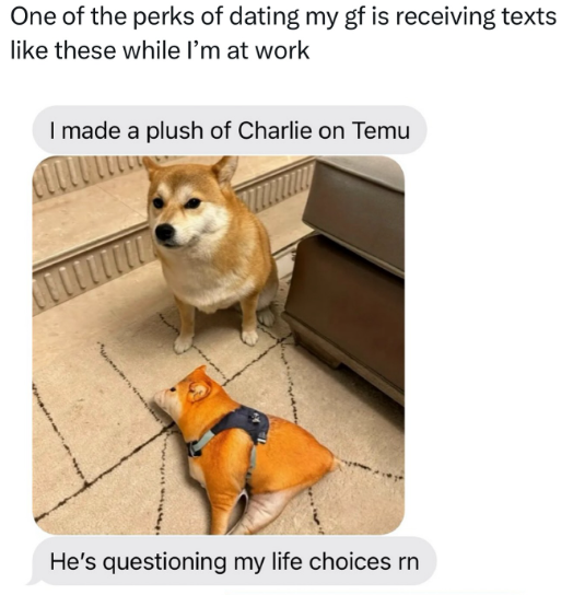 One of the perks of dating my gf is receiving texts like these while I'm at work I made a plush of Charlie on Temu He's questioning my life choices rn