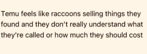 Temu feels like raccoons selling things they found and they don't really understand what they're called or how much they should cost
