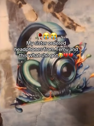 My sister ordered headphones from Temu and this what she got