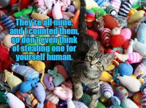 Cheezburger Image 10624268288