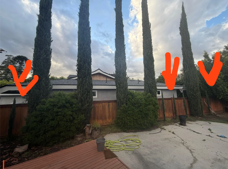 Cheezburger Image 10624292864