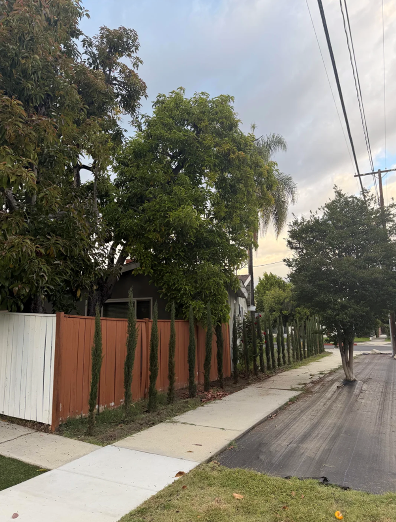 Cheezburger Image 10624293120