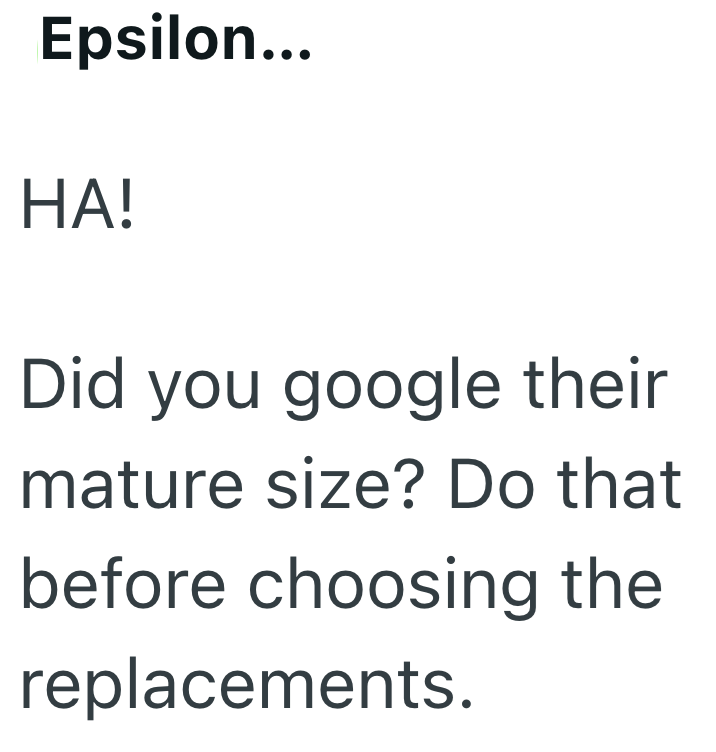 Epsilon... HA! Did you google their mature size? Do that before choosing the replacements.