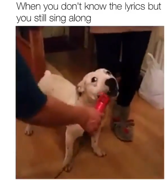 When you don't know the lyrics but you still sing along
