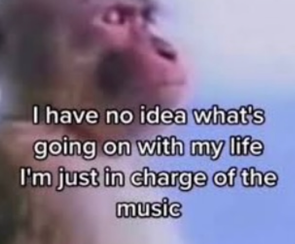 I have no idea what's going on with my life I'm just in charge of the music