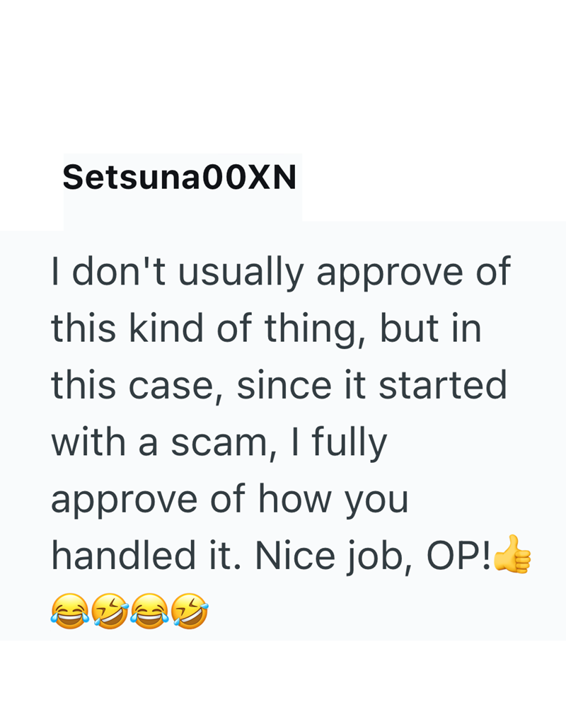 Setsuna00XN I don't usually approve of this kind of thing, but in this case, since it started with a scam, I fully approve of how you handled it. Nice job, OP!