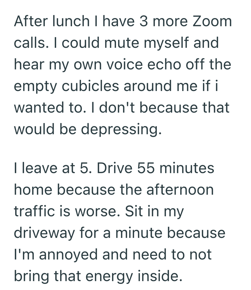 After lunch I have 3 more Zoom calls. I could mute myself and hear my own voice echo off the empty cubicles around me if i wanted to. I don't because that would be depressing. I leave at 5. Drive 55 minutes home because the afternoon traffic is worse. Sit in my driveway for a minute because I'm annoyed and need to not bring that energy inside.