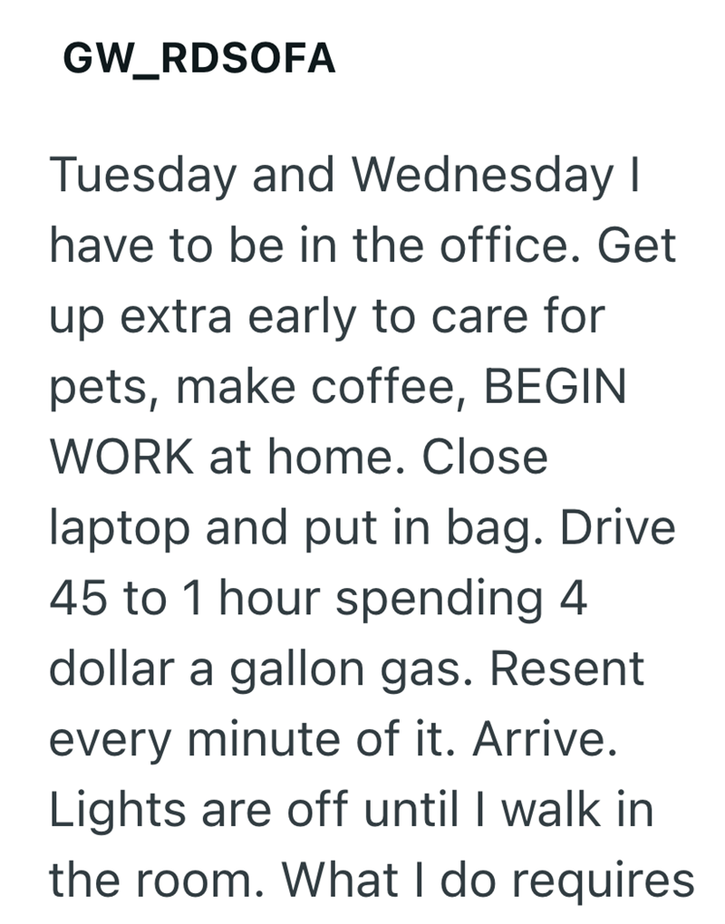 GW_RDSOFA Tuesday and Wednesday I have to be in the office. Get up extra early to care for pets, make coffee, BEGIN WORK at home. Close laptop and put in bag. Drive 45 to 1 hour spending 4 dollar a gallon gas. Resent every minute of it. Arrive. Lights are off until I walk in the room. What I do requires
