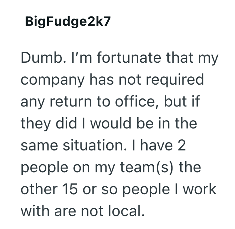 BigFudge2k7 Dumb. I'm fortunate that my company has not required any return to office, but if they did I would be in the same situation. I have 2 people on my team(s) the other 15 or so people I work with are not local.
