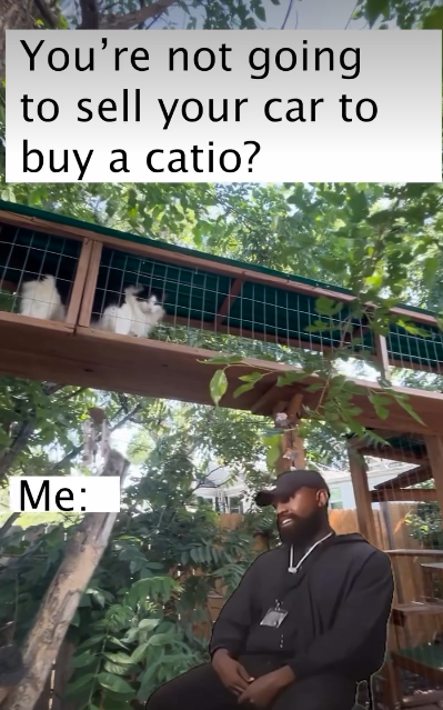 You're not going to sell your car to buy a catio? Me: