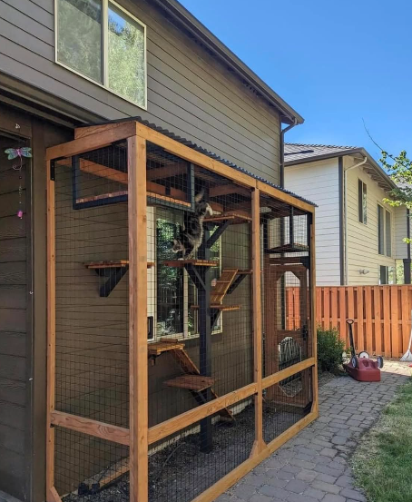 Cheezburger Image 10624345600