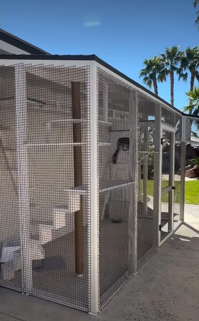 Cheezburger Image 10624345856