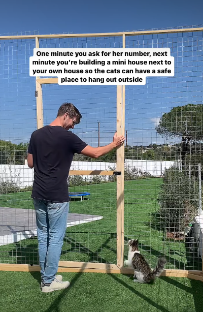 One minute you ask for her number, next minute you're building a mini house next to your own house so the cats can have a safe place to hang out outside