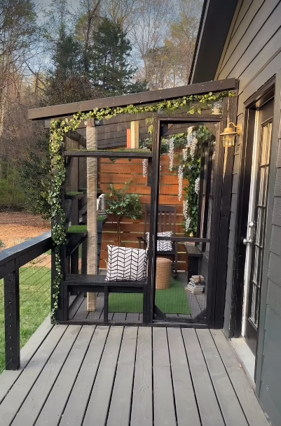 Cheezburger Image 10624346624