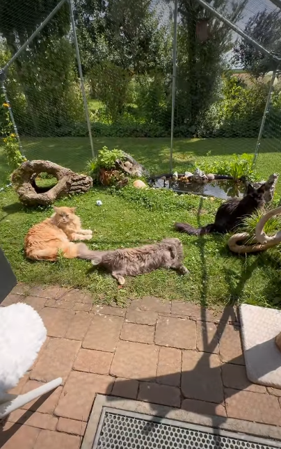 Cheezburger Image 10624347136