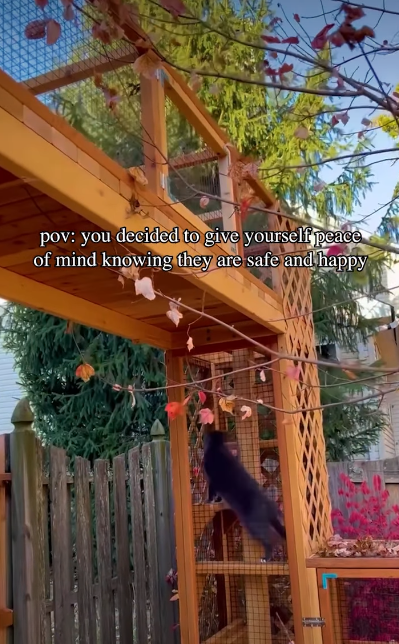 pov: you decided to give yourself peace of mind knowing they are safe and happy